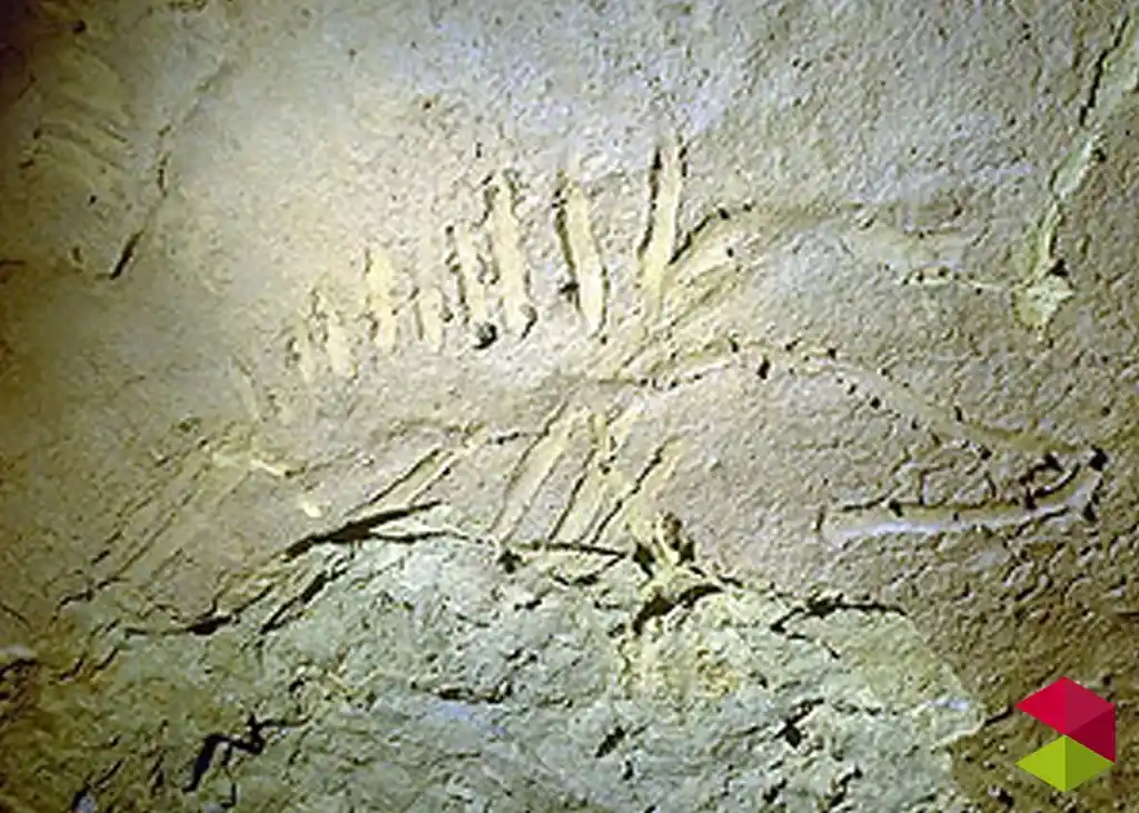 Arte Rupestre cueva de la Clotilde