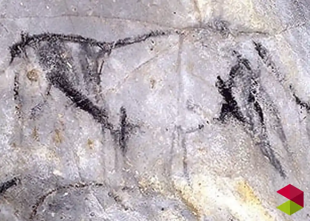 Arte rupestre Cueva de las Monedas