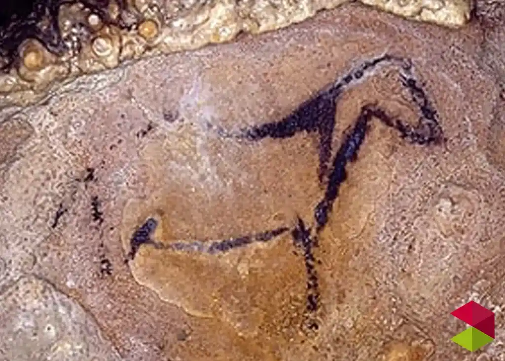 Arte rupestre Cueva de las Monedas