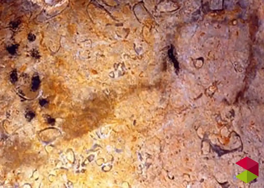Cueva del Calero II