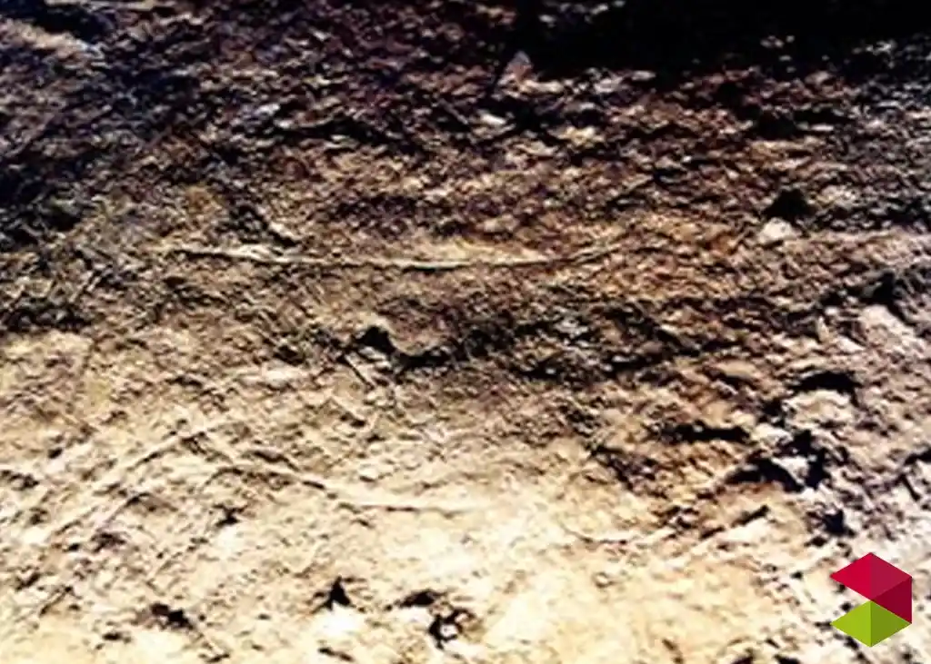Cueva del Patatal