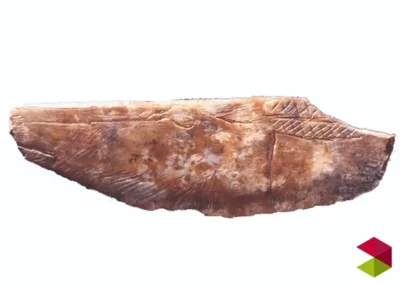 Descubrimiento de la Cueva del Juyo