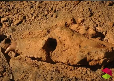 Descubreimientos Cueva de Cofresnedo