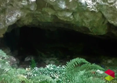 Entrada Cueva de Los Marranos
