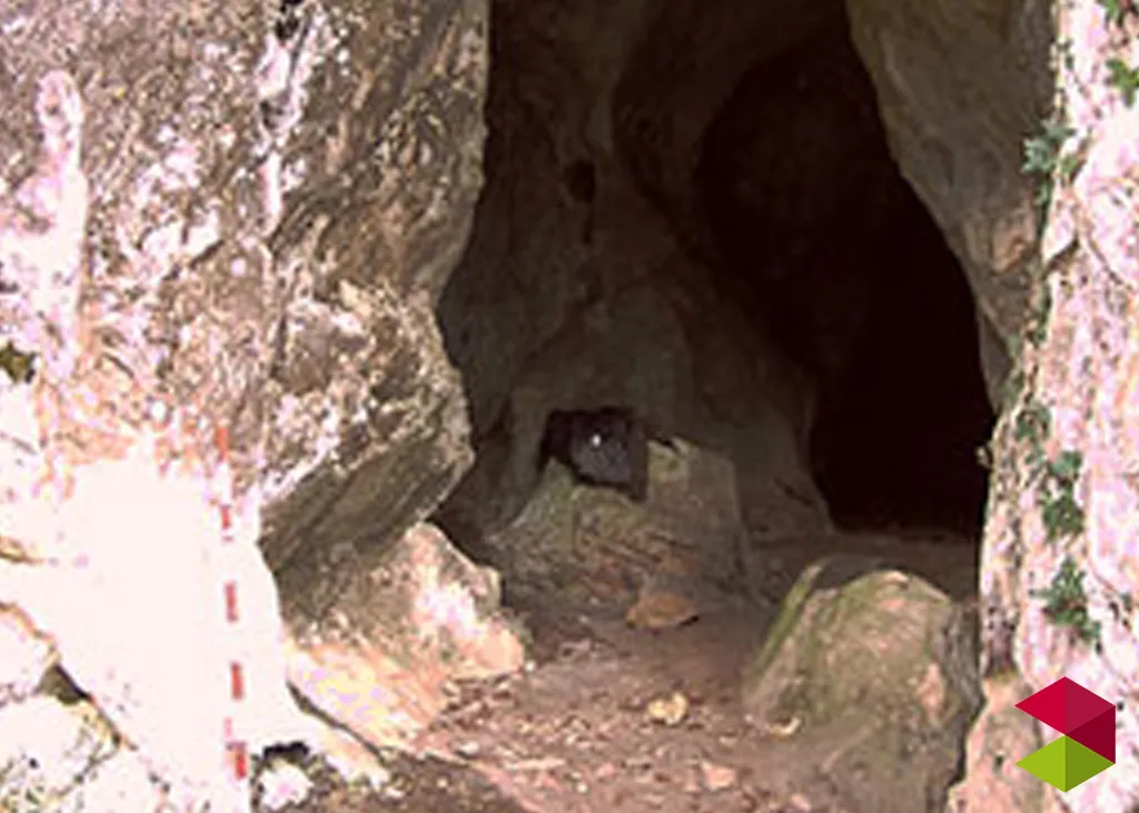 Entnrada Cueva del Porquerizo