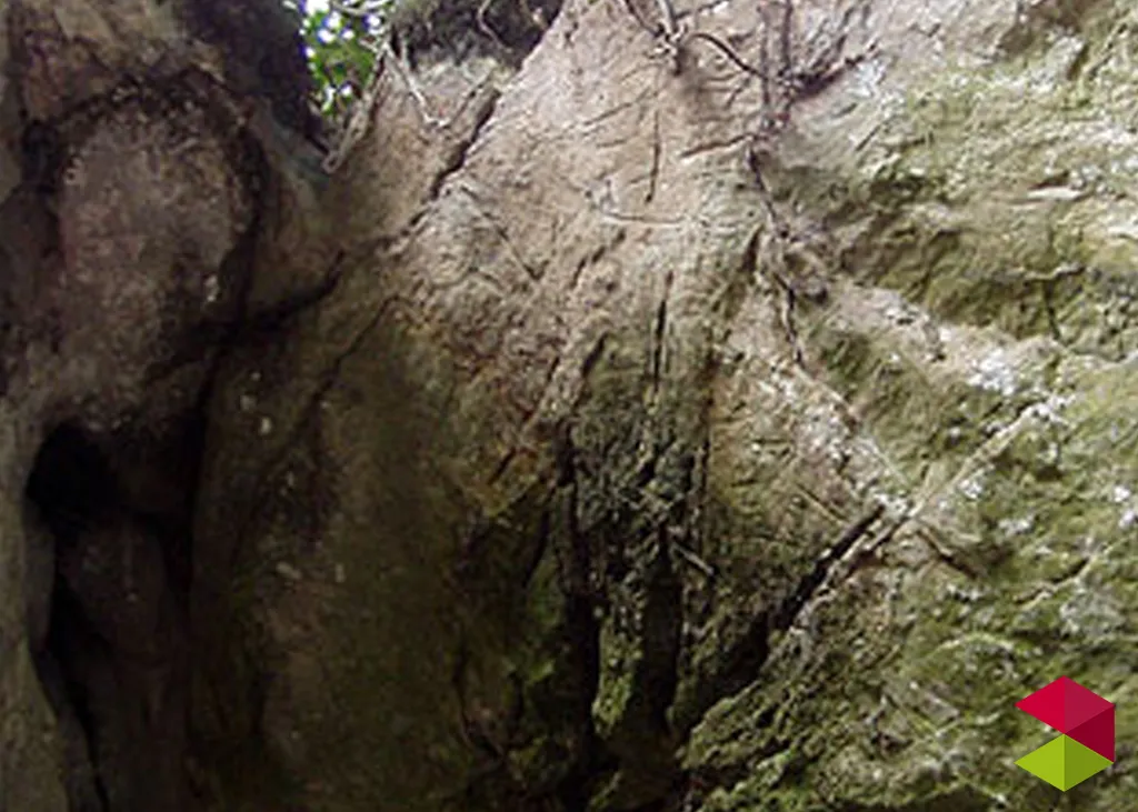Grabados Cueva del Porquerizo
