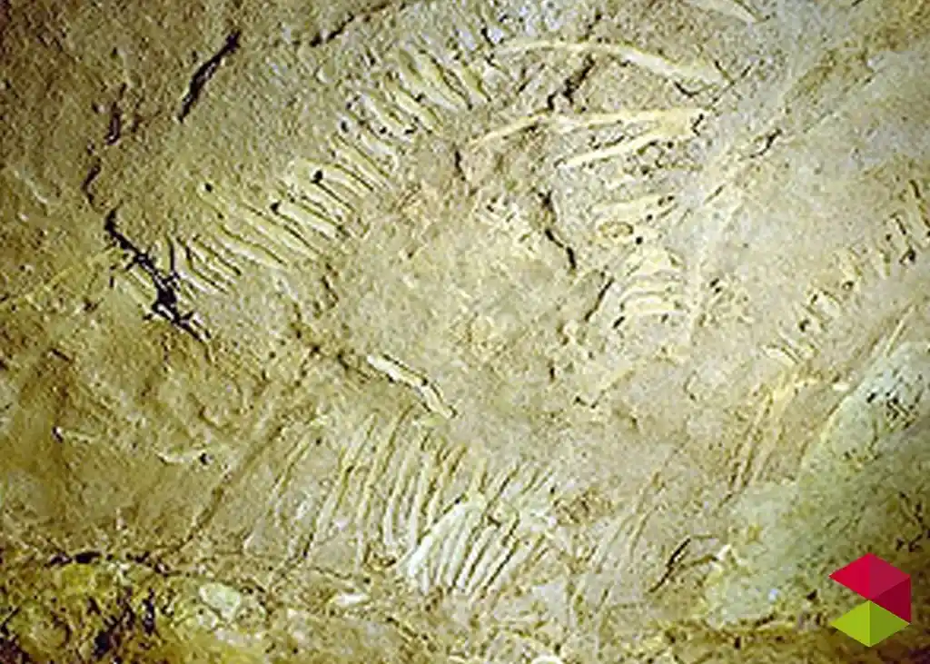 Marcas cueva de la Clotilde