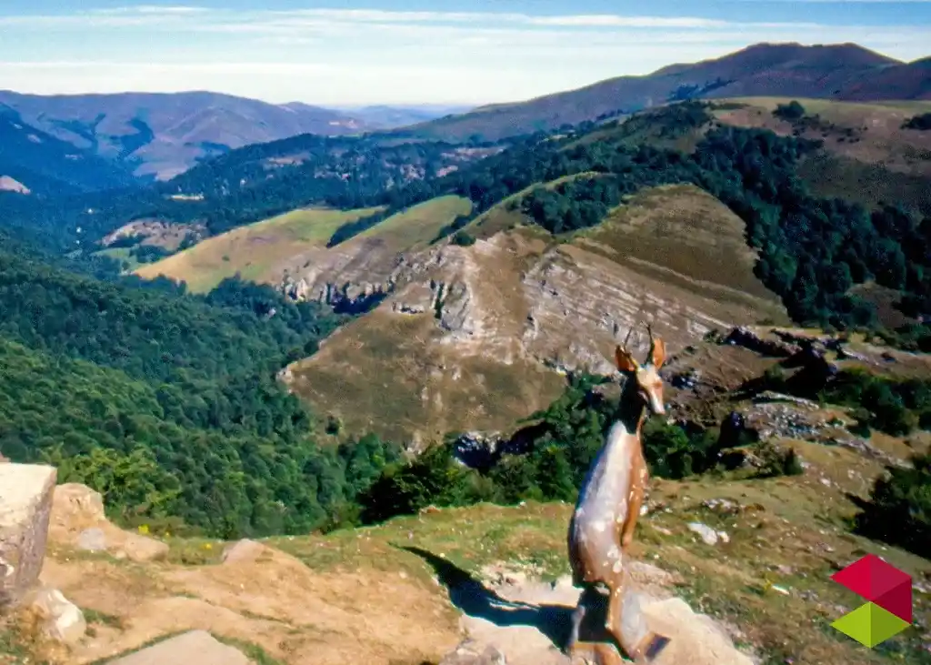 Mirador de La Cardosa