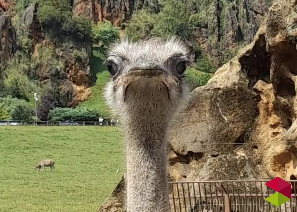 Cabárceno<br />
