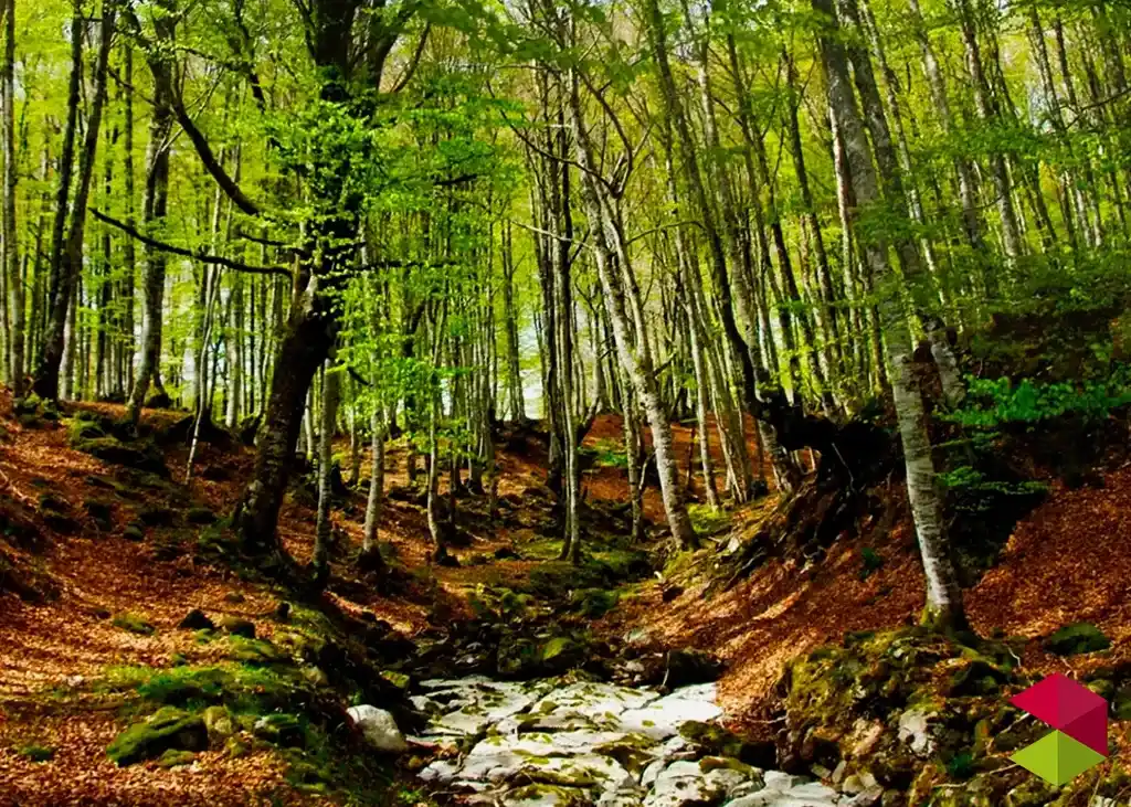 Los 9 mejores parques naturales de Cantabria