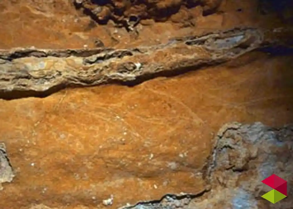 Pinturas Cueva de Cobrante