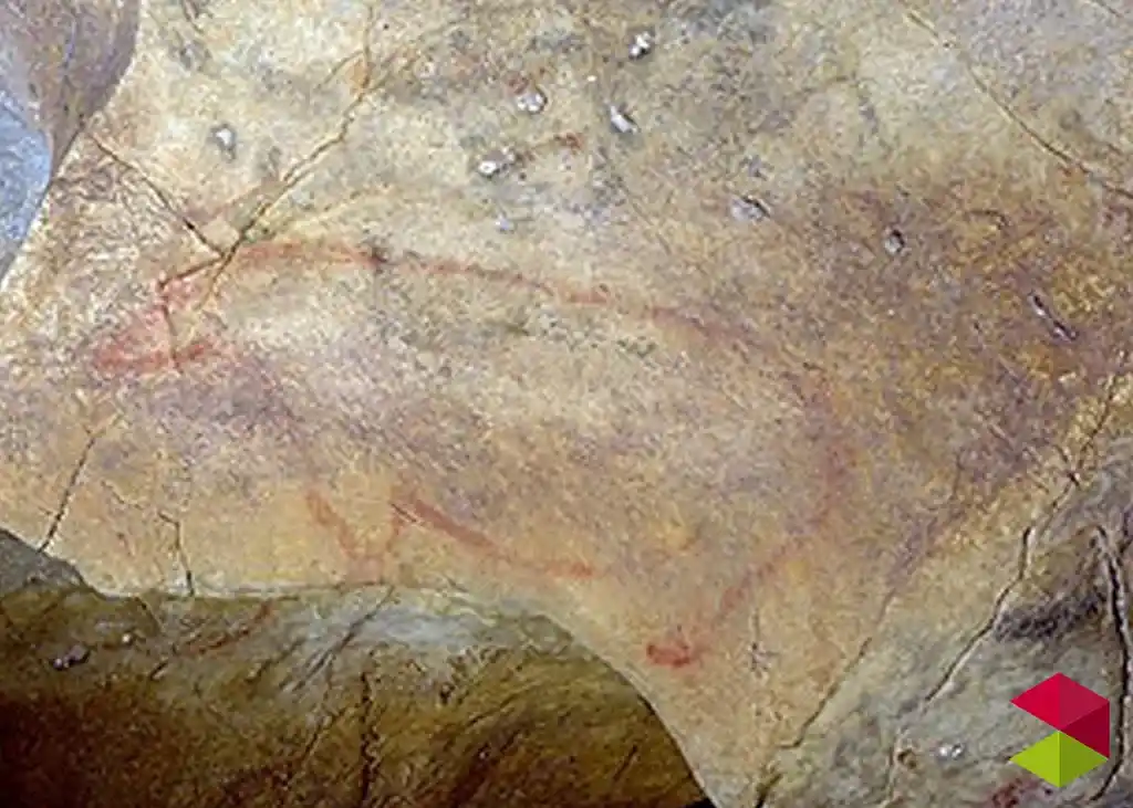 Pintura rupestre Oso en Cueva Micolón