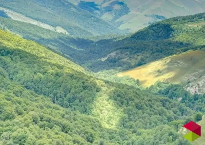 Parque Natural del Saja-Besaya: Refugio de Fauna Salvaje y Bosques Legendarios en el Corazón de Cantabria