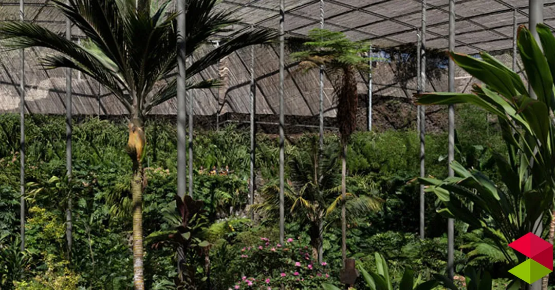 Eventos Santander Concierto para plantas con Eugenio Ampudia