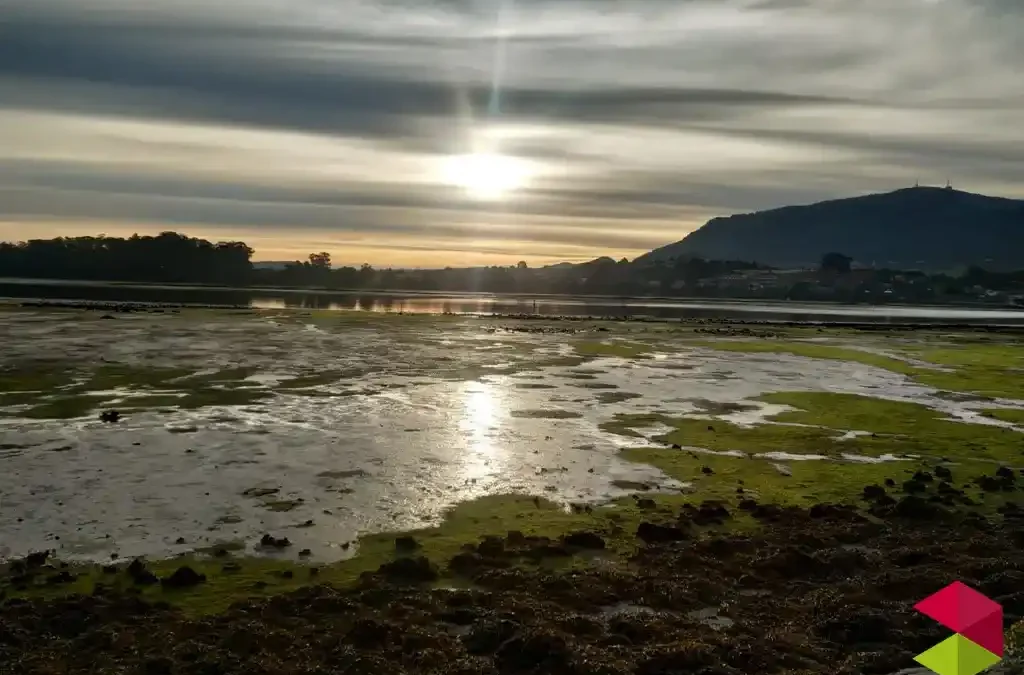 Marismas Blancas y Negras de Astillero