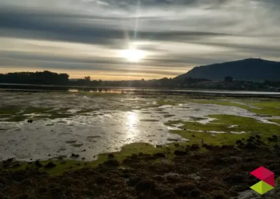 Marismas Blancas y Negras de Astillero
