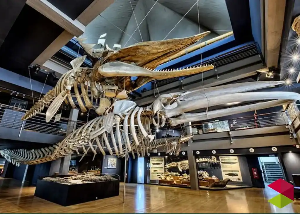 Museos en Cantabria