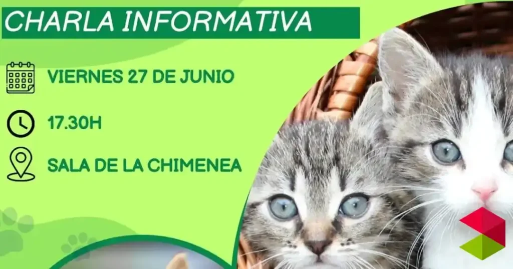 Noticias Reinosa El Ayuntamiento de Reinosa organiza una charla sobre el método CER en colonias felinas urbanas