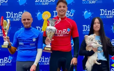 Marcos y Hera ganadores del campeonato de Europa de surf para perros DingoDog Surf 2025