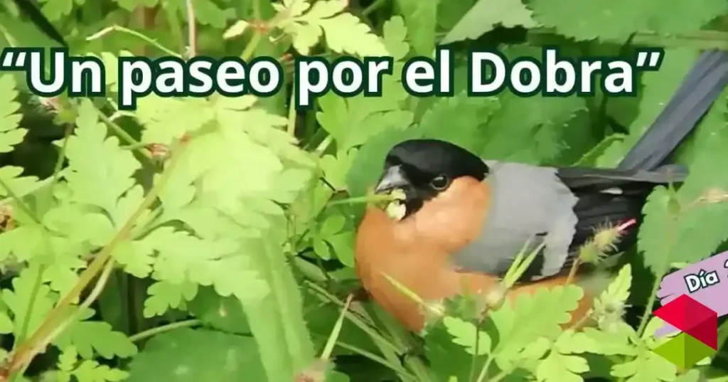 Noticias Torrelavega El 29 de junio visita gratuita al Dobra dentro del proyecto Torrelavega Conexión Natural