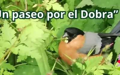 El 29 de junio visita gratuita al Dobra dentro del proyecto Torrelavega Conexión Natural