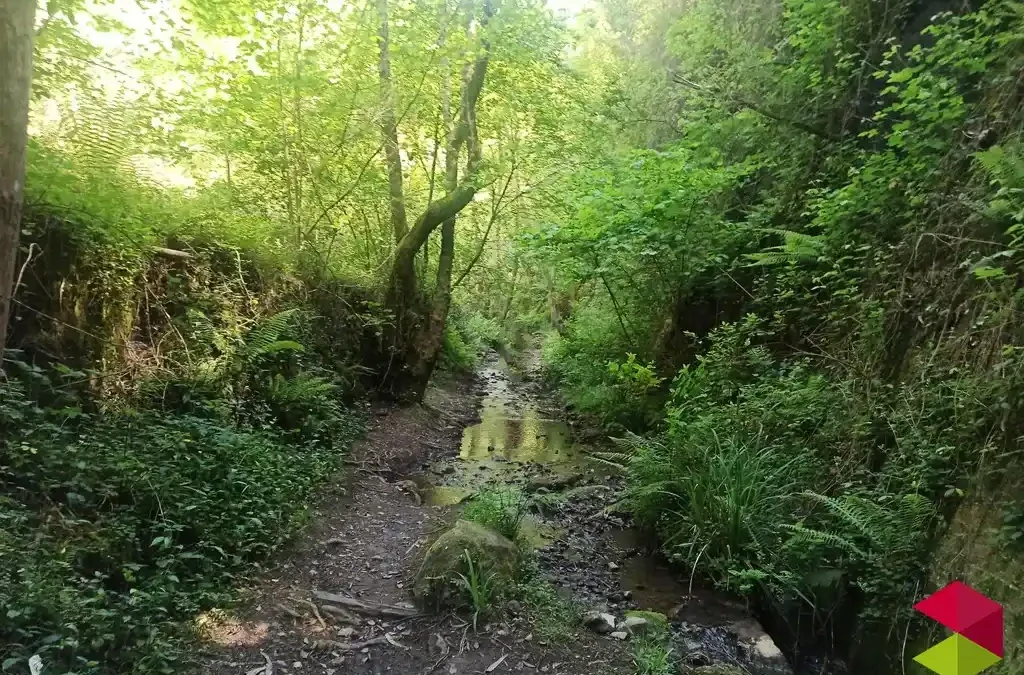 Vía verde Castro Allen