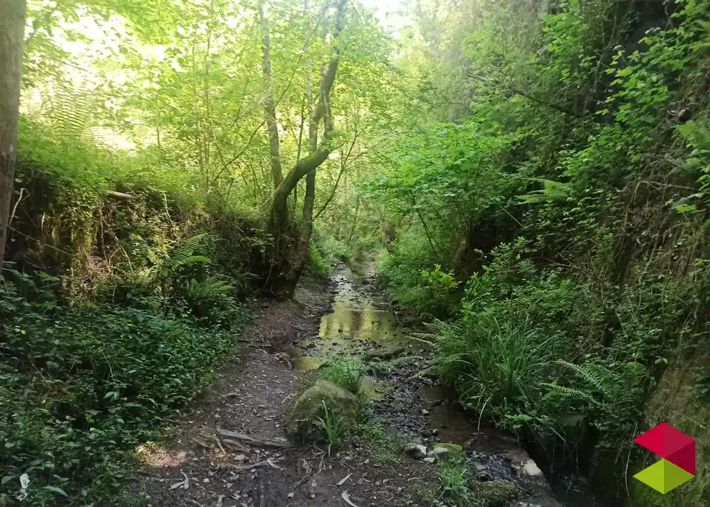 Vía verde Castro Allen
