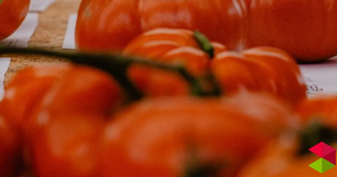 Eventos en Polanco VII Feria nacional del tomate antiguo