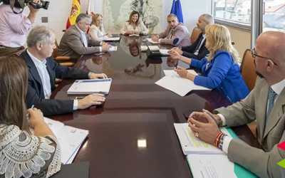 El Consejo aprueba la puesta en marcha de un teléfono para la atención inmediata a los propietarios afectados por la ocupación ilegal de sus viviendas