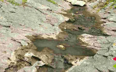 El PRC de Bezana denuncia vertidos fecales en la canal de San Juan