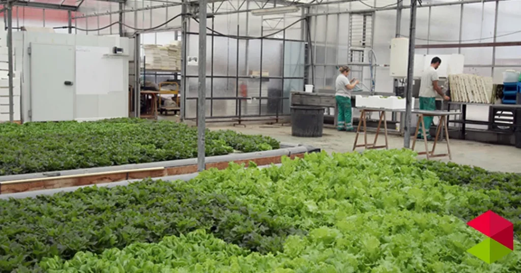 Noticias Cantabria El Gobierno convoca las subvenciones para financiar las unidades de apoyo de los centros especiales de empleo por importe de 300.000 euros