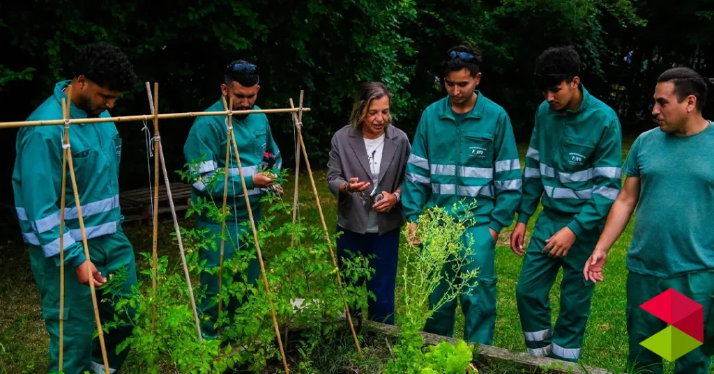 Noticias Santander Santander forma a un grupo de alumnos en capacidades profesionales sobre viveros y jardinería