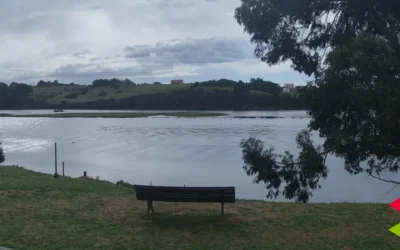 El Ayuntamiento convierte un espacio degradado del carril bici en la zona de Los Cantos en un área de descanso