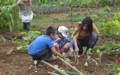 La Escuela de Medio Ambiente de Camargo Programa Un Taller Familiar Que Auna Musica Clasica