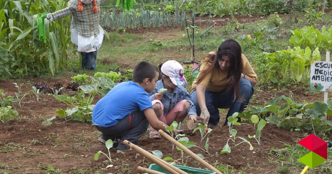 Noticias Camargo La Escuela de Medio Ambiente de Camargo Programa Un Taller Familiar Que Auna Musica Clasica