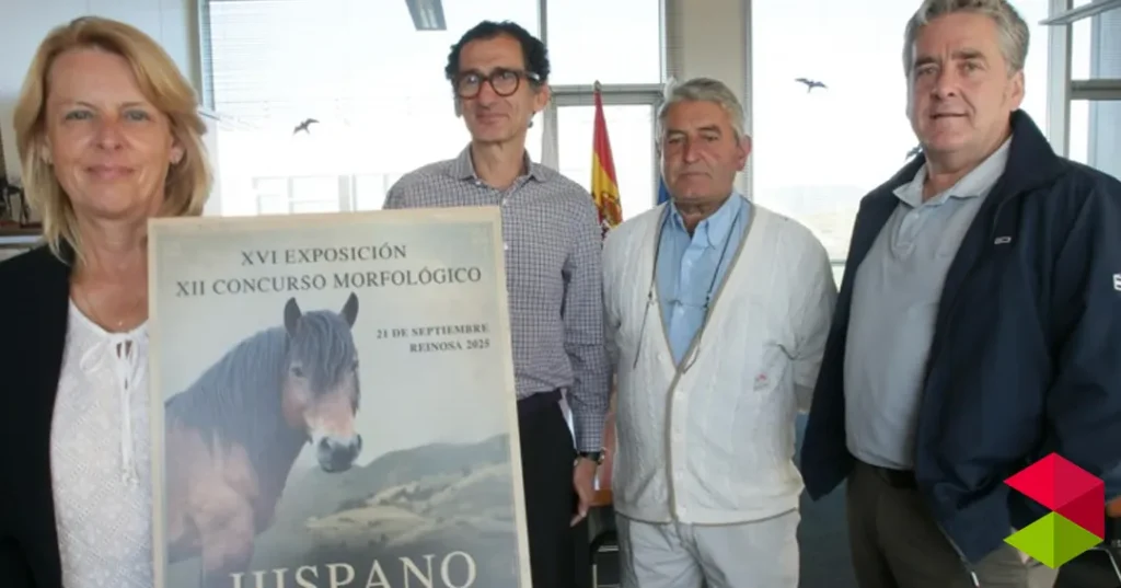 Noticias Reinosa Reinosa reunirá el domingo a 15 ganaderías y 55 ejemplares para exponer la pureza de la raza equina hispano-bretona