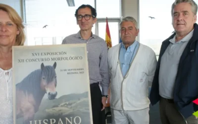 Reinosa reunirá el domingo a 15 ganaderías y 55 ejemplares para exponer la pureza de la raza equina hispano-bretona