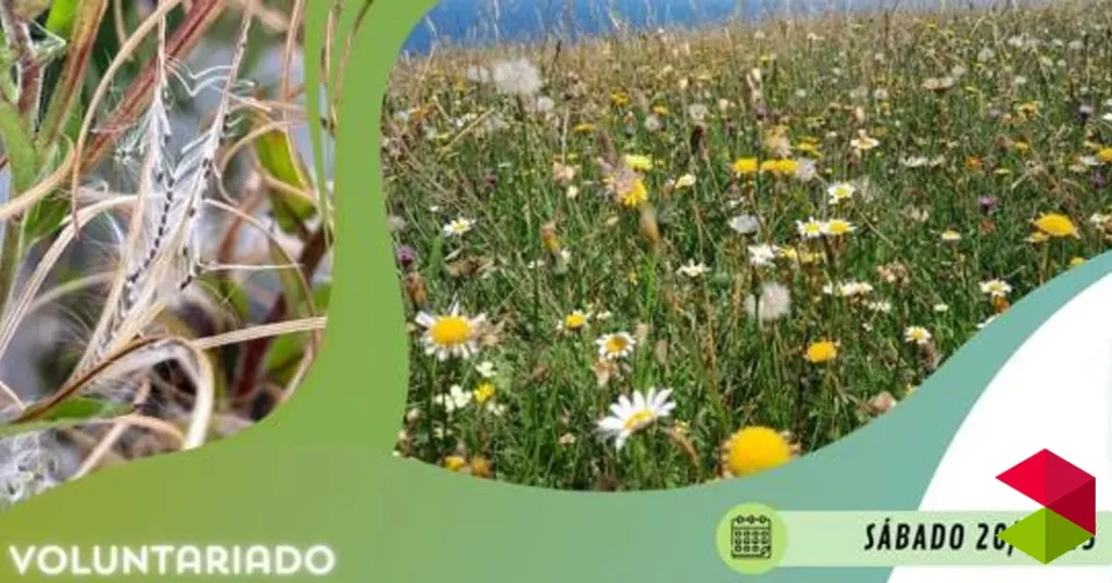 ‘Santander Capital Natural’ organiza una jornada divulgativa de recolección de semillas silvestres