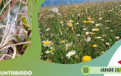 ‘Santander Capital Natural’ organiza una jornada divulgativa de recolección de semillas silvestres