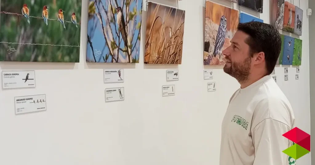 Noticias Suances La Casa de Cultura Fernando Velarde acoge la programación expositiva para los próximos meses