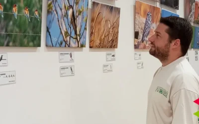 La Casa de Cultura Fernando Velarde acoge la programación expositiva para los próximos meses