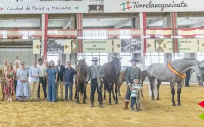 ‘Jalisco de Marengo’ y ‘Tebana de Marengo’, campeón y campeona del XXV Concurso Morfológico Ciudad de Torrelavega