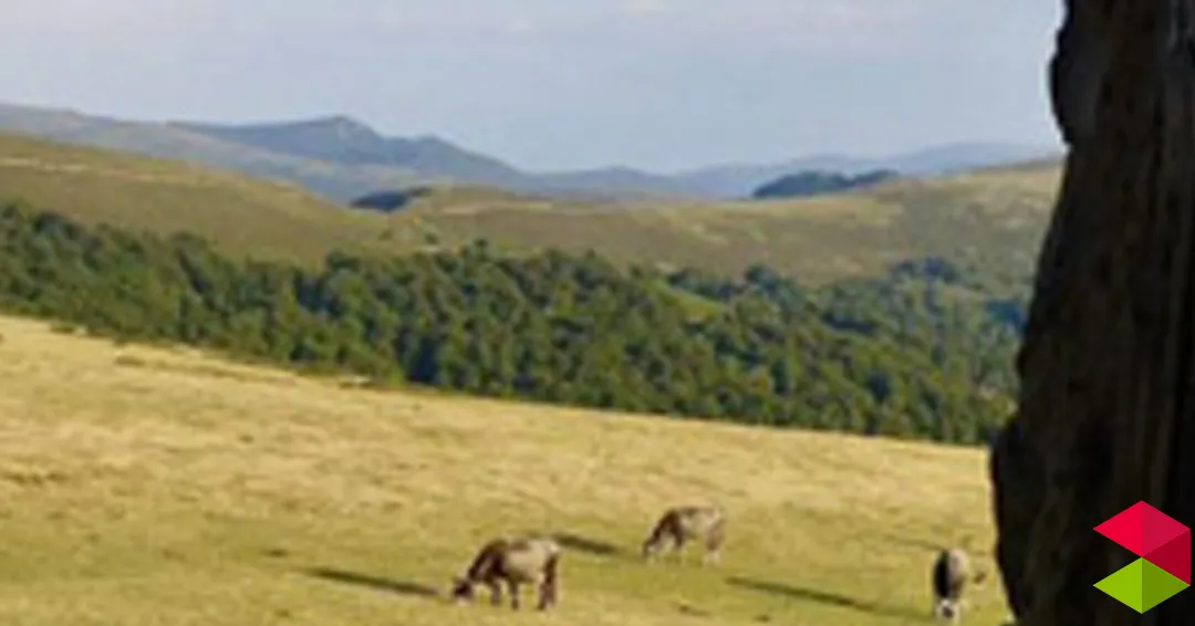 Eventos Cantabria 3ª etapa del camino Medieval Lebaniego 2025