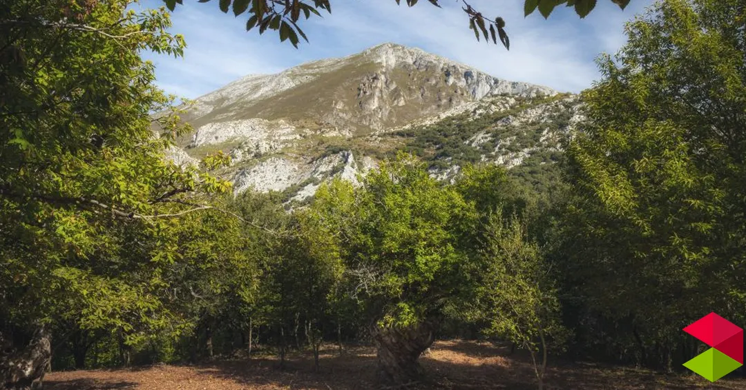 Eventos Cantabria Construcción de cajas nido en Pendes