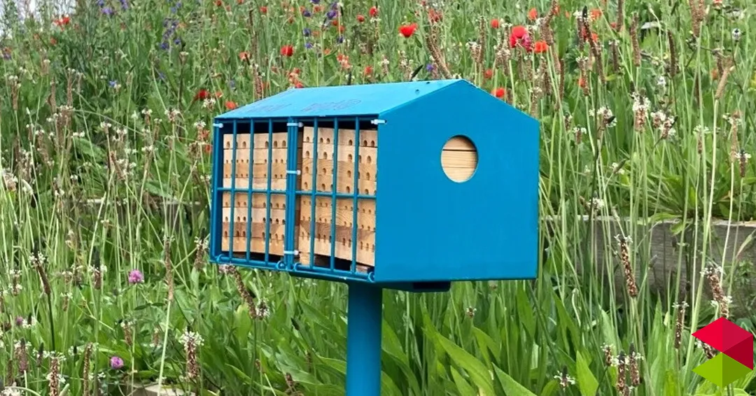 Eventos en Cantabria Construcción y colocación de hoteles para insectos en Mogro