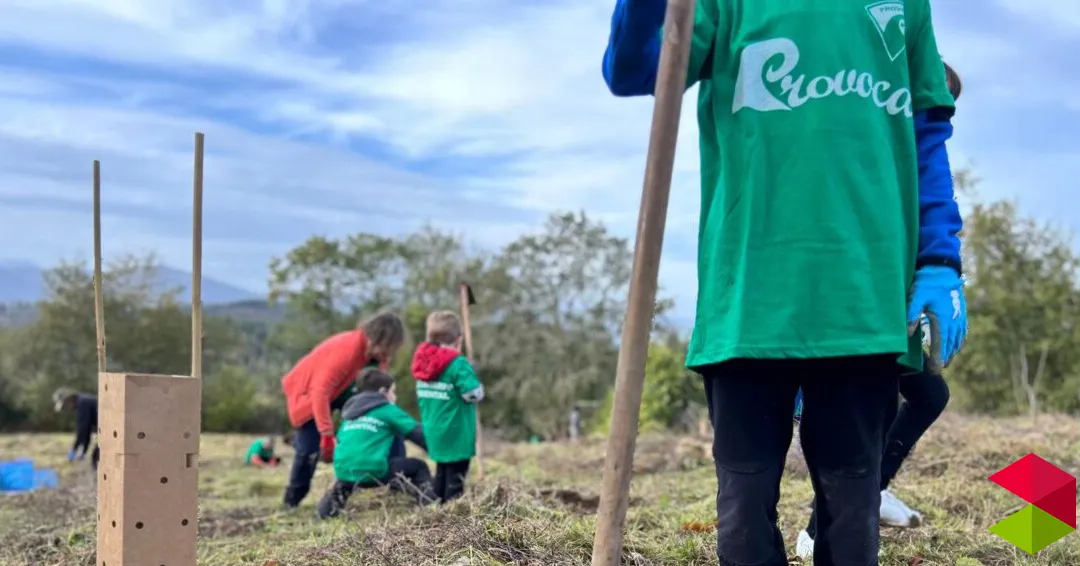 Eventos en Cantabria Plantación ecofriendly de Udías: jornada de mantenimiento