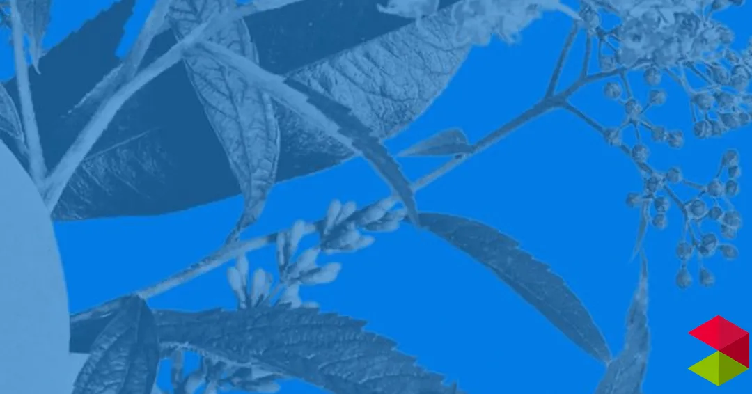 Eventos en Santander III Jornada de Salud Mental