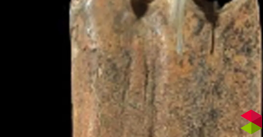 Eventos Santander ¿Machos o hembras? Analizando proteínas antiguas para conocer el sexo de los animales cazados durante el Paleolítico por Leire Torres