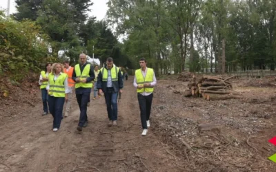 La primera fase de la restauración del Parque de Las Tablas elimina plantas y especies arbóreas invasoras para plantar árboles autóctonos