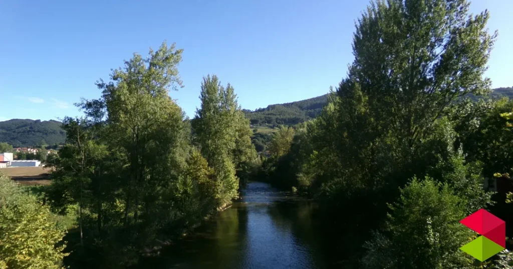 Noticias Ampuero Los bosques de ribera: guardianes del agua